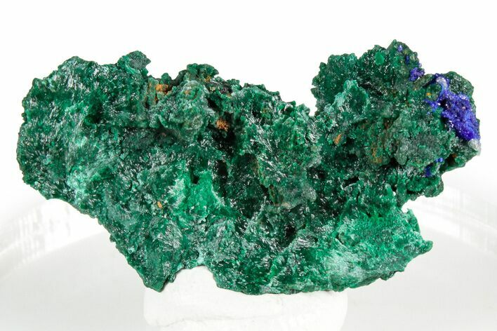Fibrous Green Malachite with Blue Azurite - Congo #346126